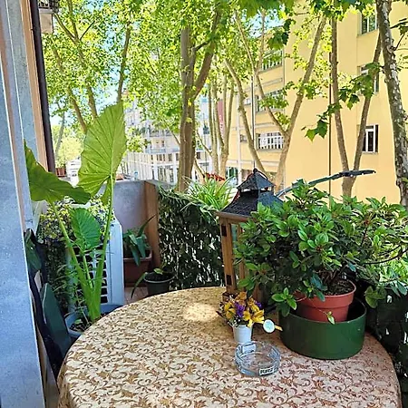 Casa Di Taty Mestre