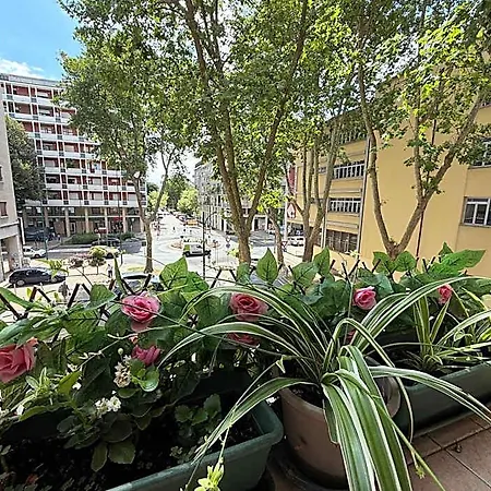 Casa Di Taty Mestre