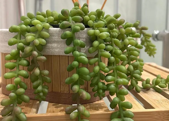 Casa Di Taty Местре